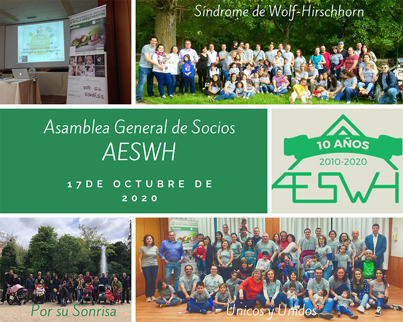El 17 de octubre hemos celebrado nuestra Asamblea General de socios de la AESWH
