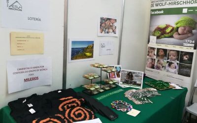 Diversiarte mercadillo solidario en Lugo