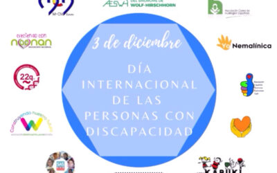 El SWH en el Día Internacional de las personas con discapacidad