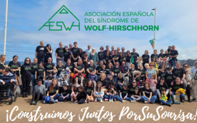 XI Jornadas AESWH 2023 en Gijón